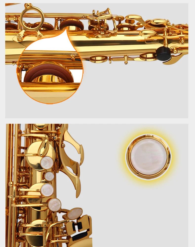 Gold Lacquer Instrument Accessories  China Sax Professional Bb Tenor Saxophone
