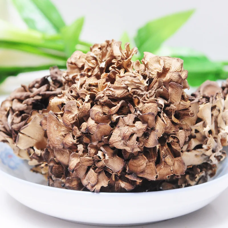 Price Organic Maitake Mushroom Hen Of The Woods Grifola Frondosa Dried