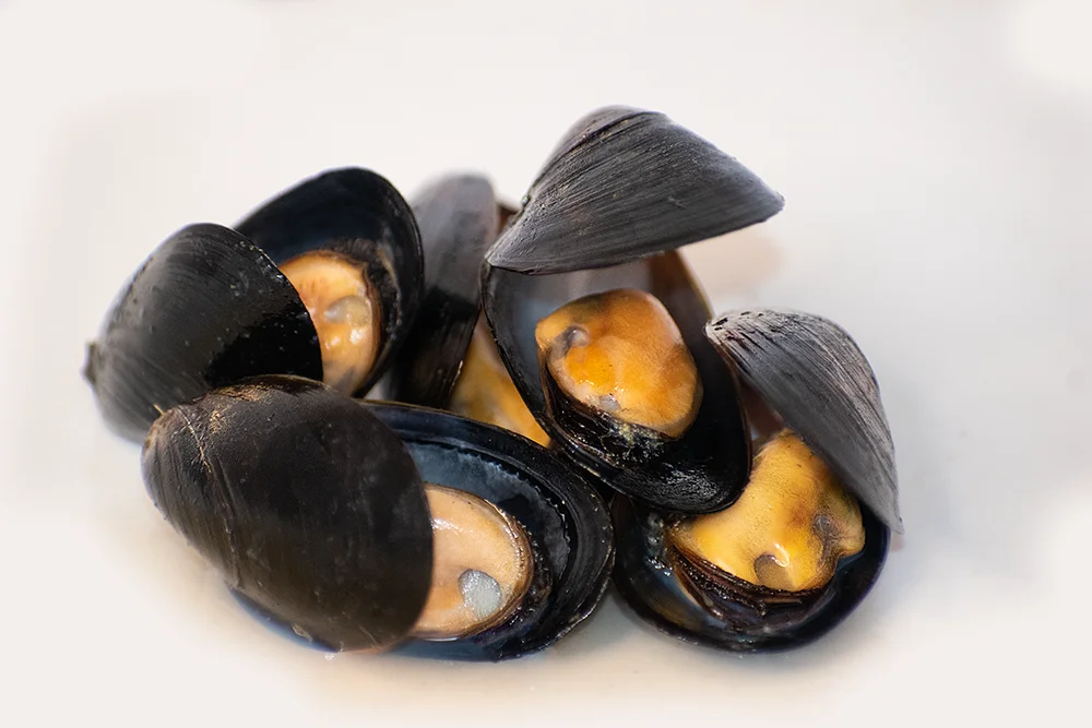 Whole Shell Mussel In Natural Sauce 1lb,454grs Buy Price Of Mussels