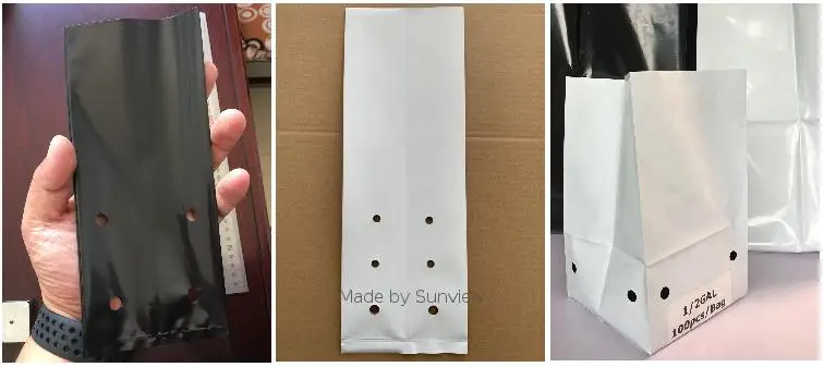 grow bags strawberry