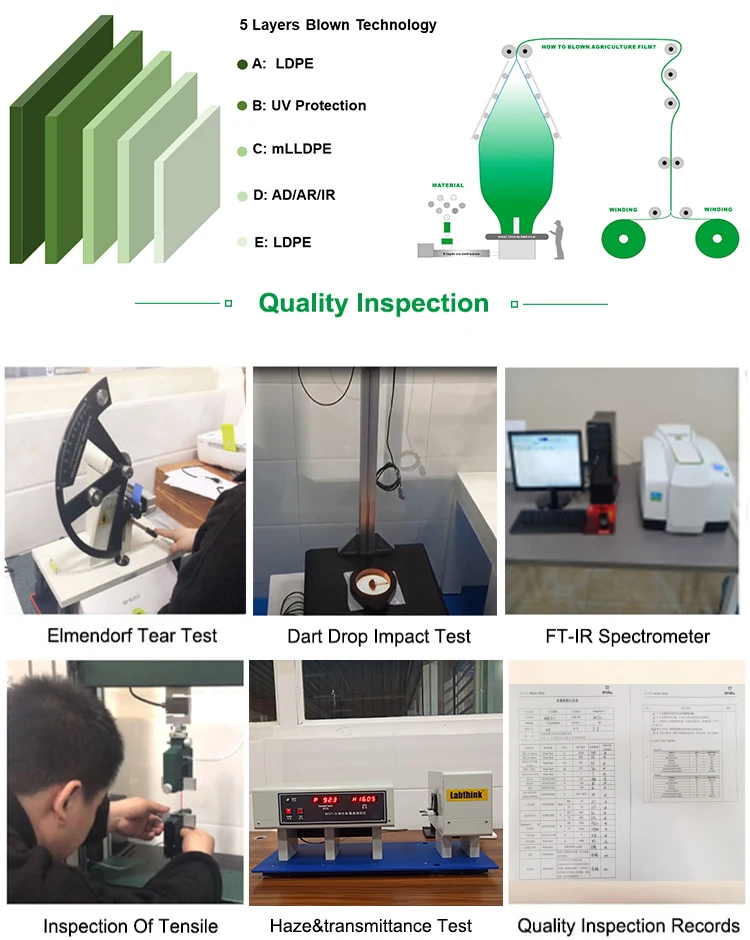 green house film 6mil greenhouse agriculture plastic factory plants covering