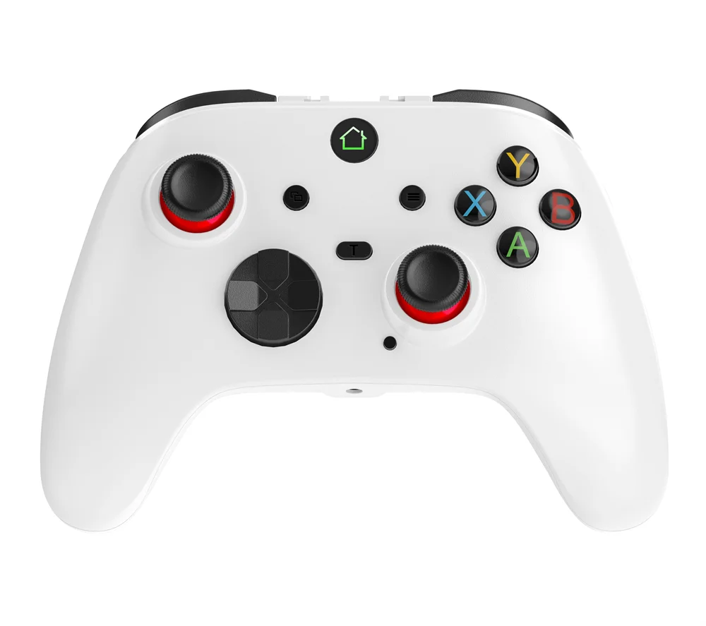 Nintendo Switch Pro Controller connected to Windows PC via USB-C cable