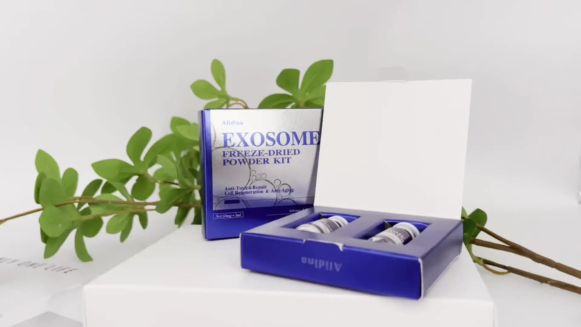 EXOMUNE 01 Powder & 02 Solution セット Exo Lyophilized Powder Kit - Exozome Stem Cell Skin Booster