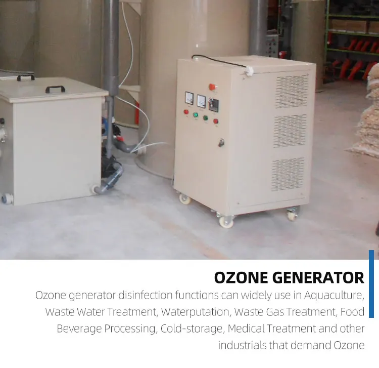 Ozone Generator (5).jpg