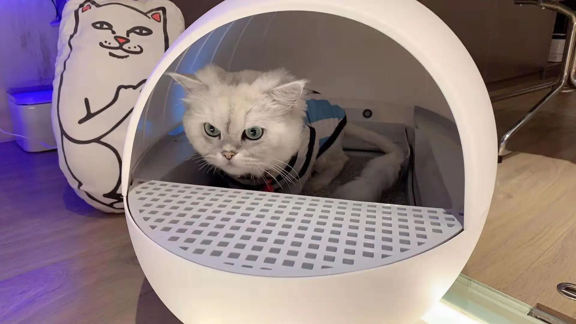 ペット用自動スマート猫 犬用トイレ 大型 セルフクリーニングボックス 18x13 折扣词 打折力度 Explorenouzil Com
