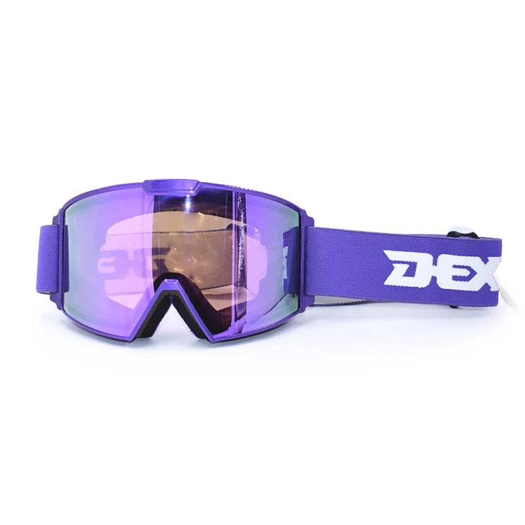 Dex Ski Goggles Wide View Anti-fog 