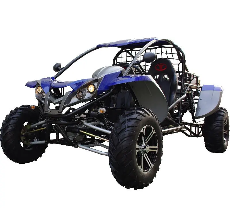 1500cc buggy