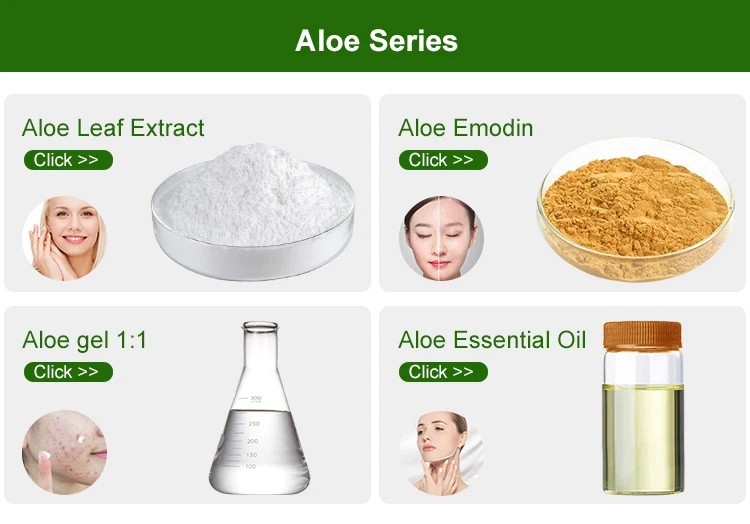 Amulyn 100 Pure Extract Aloe Vera Gel Freeze Dried Powder Buy Aloe Vera Freeze Dried Powder