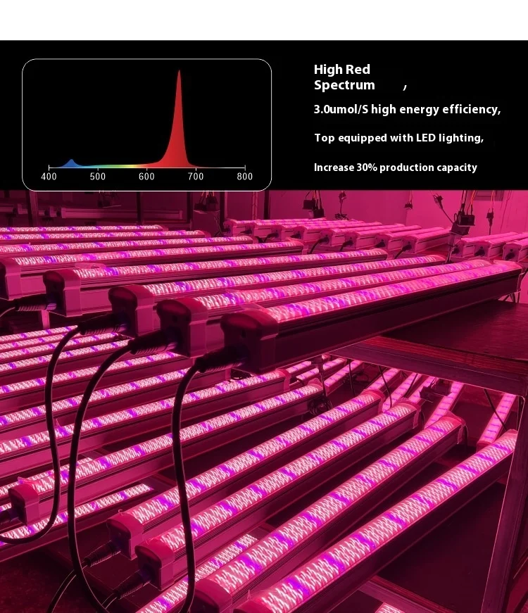 product full spectrum cob led plant tree light ip65 undercanopy bottom supplement for greenhouse vegetable seedling cross border bloom-2