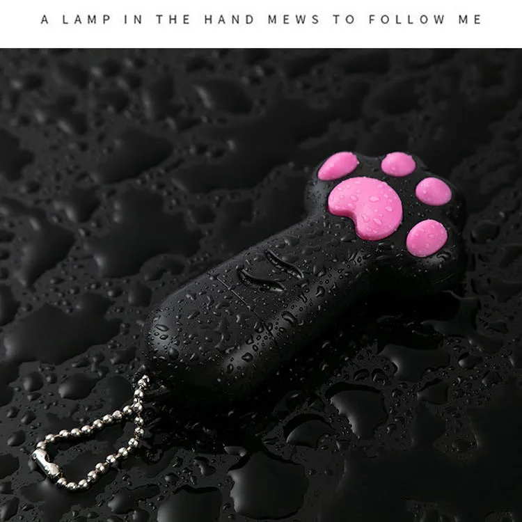 cat laser stick3