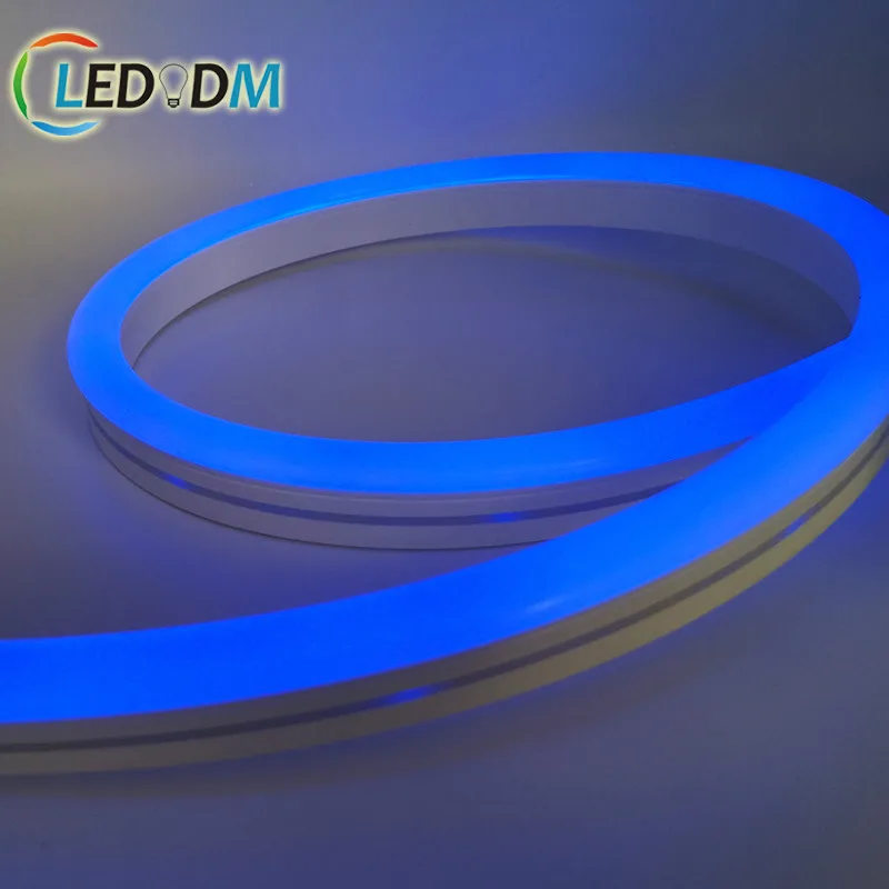 DC12V 24V 100% Pure Silicone Waterproof 5050 RGB Flex Neon 3 Years Warranty Any Sizes Are Available