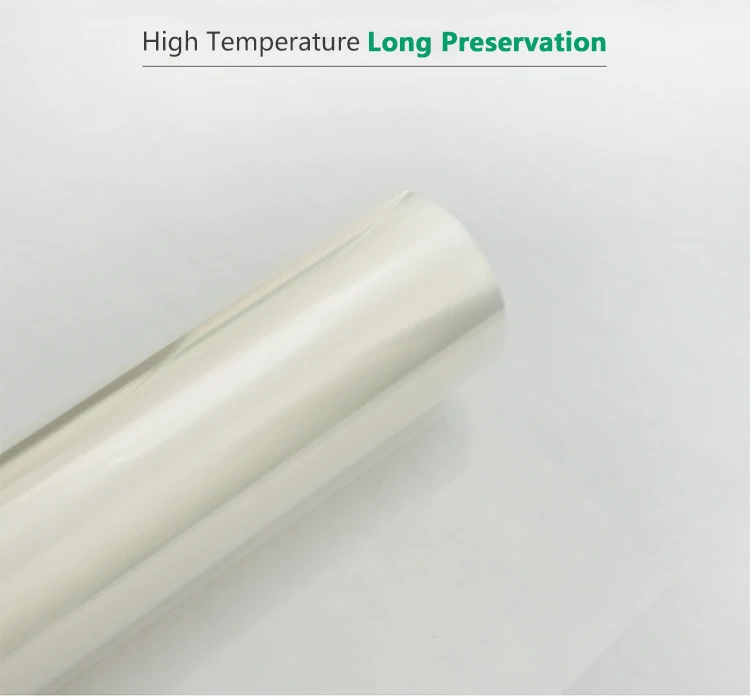 PET Transparent Film