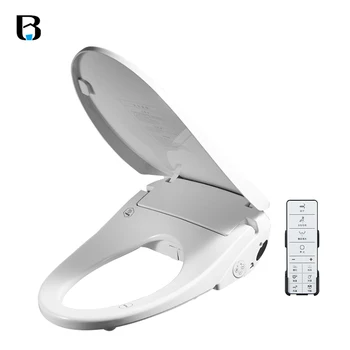 portable toilet seat