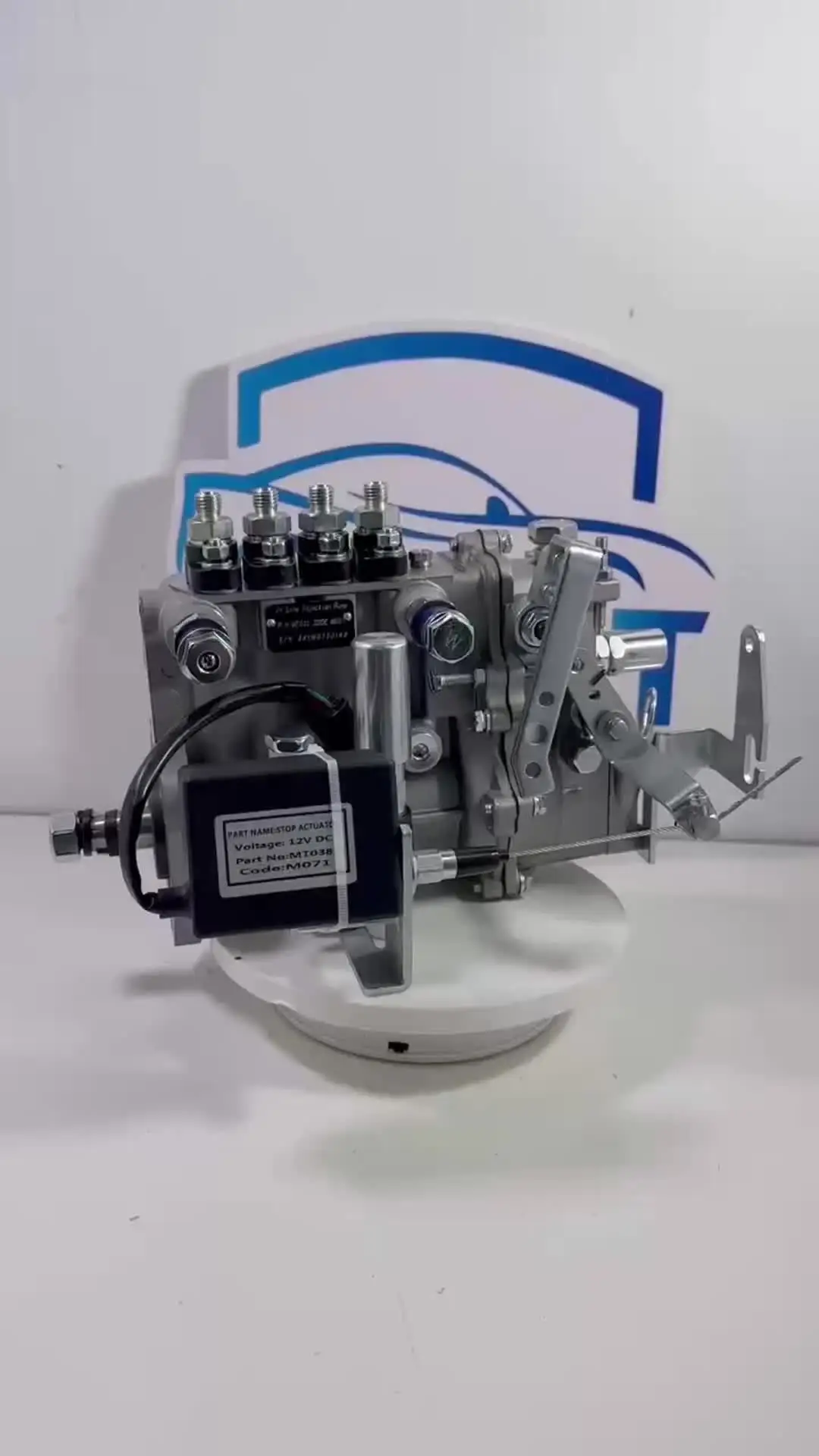 Genuine Common Rail Diesel Fuel Injection Pump VE6 for