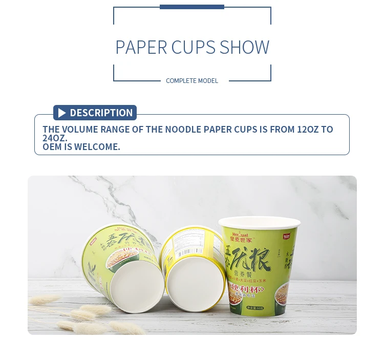 Noodle Paper Cups 2.jpg