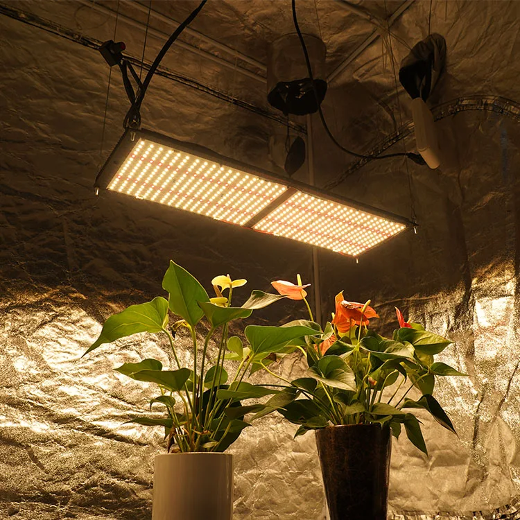 CZ 240W Full Spectrum Meijiu Led Grow Light Horticulture Samsung Lm301H Lm301B Kit Led Grow Light For Indoor Plants