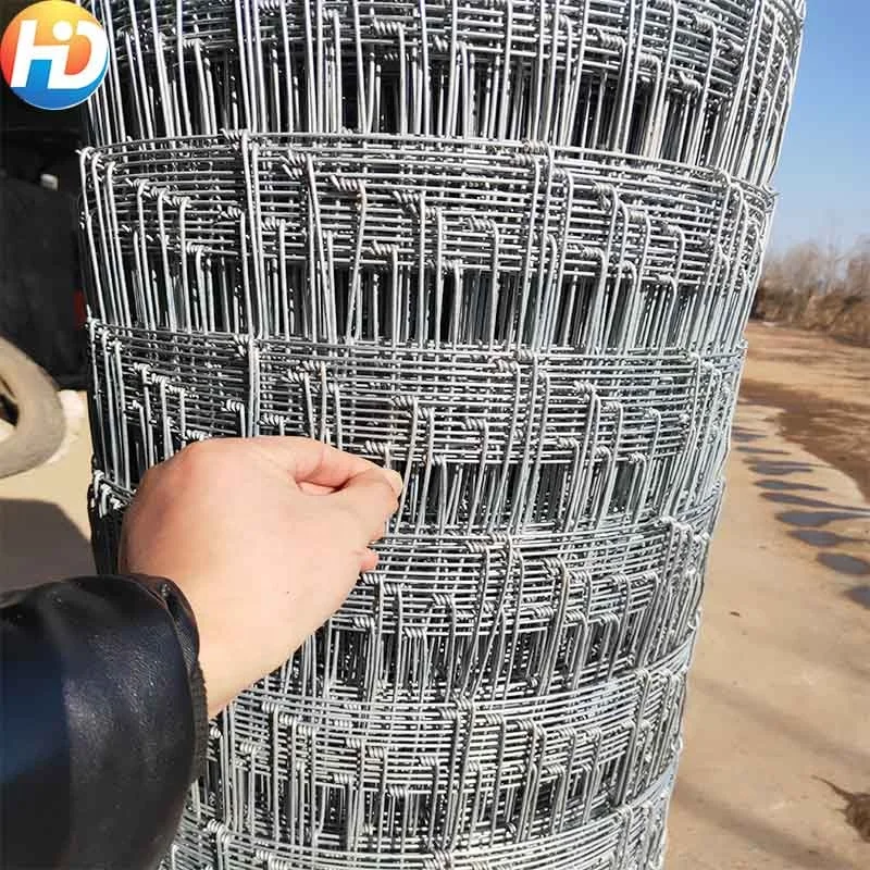 wire fence 9.jpg