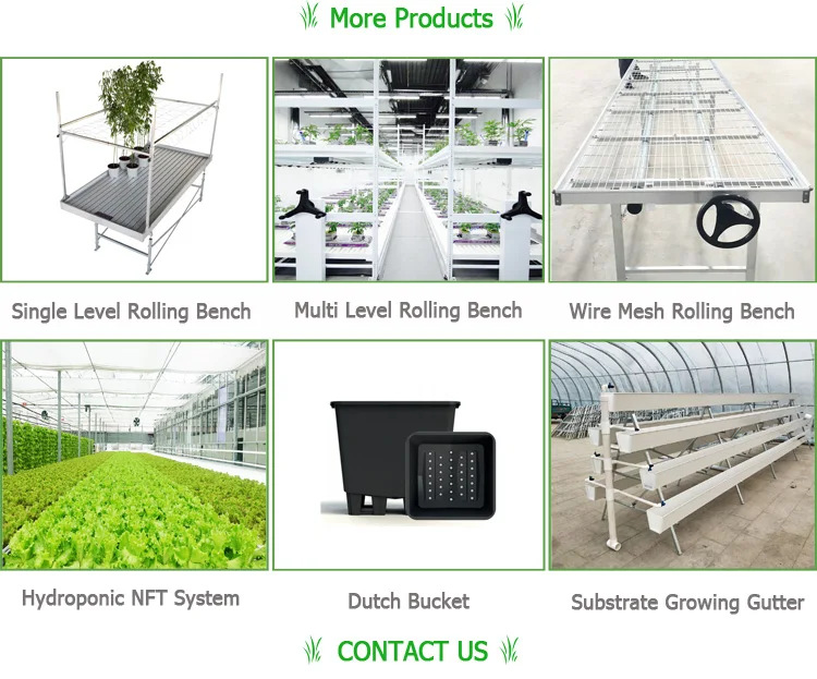 hydroponic system ebb and flow rolling flood table