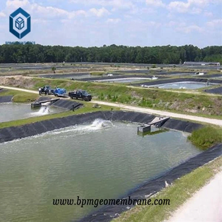 Geomembrane Fish Tank