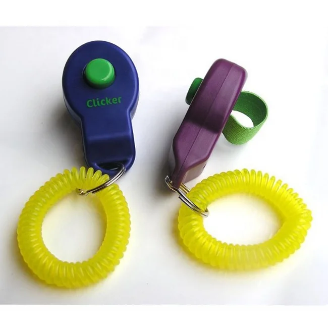 Auto Key Clicker Guide: How to Choose the Right One