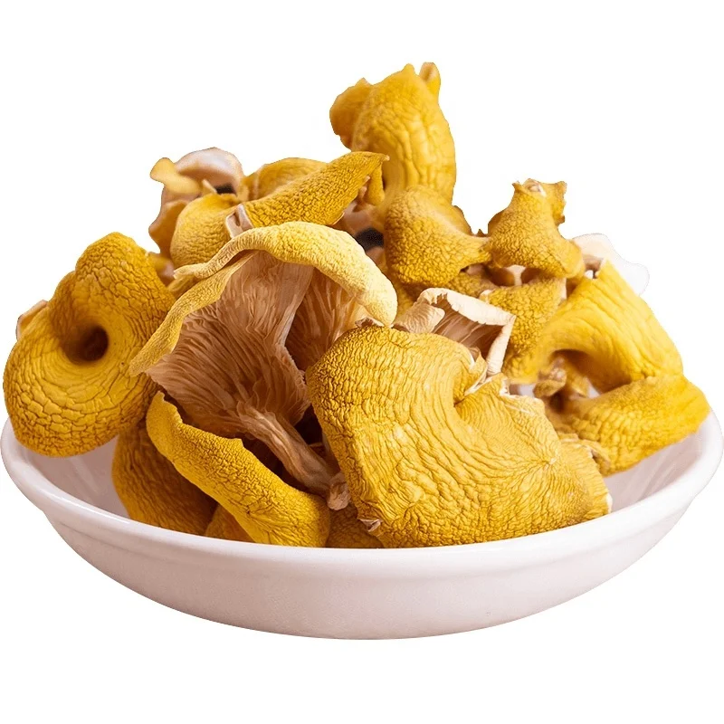 Wholesale Price Fresh Dried Chanterelle Mushrooms In Bulk Buy Dried