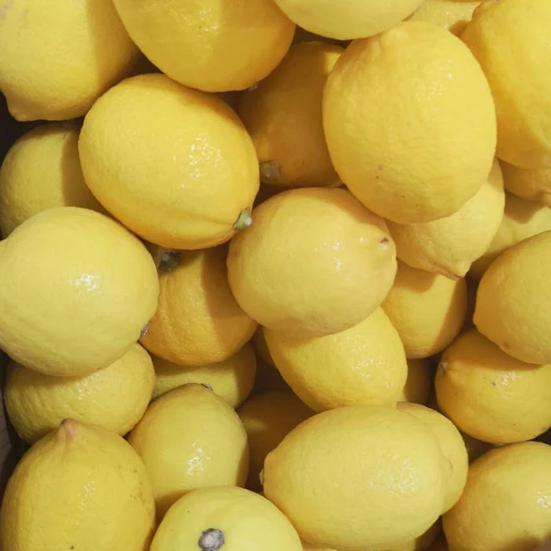 
Favorable prices fresh yellow juicy lemons supplier 