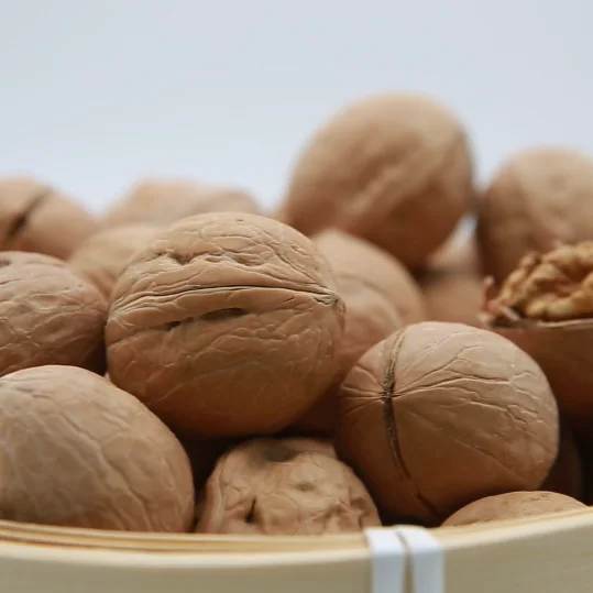 
Hot processing high-quality low-price selling nutritional high snack thin-skinned walnut 