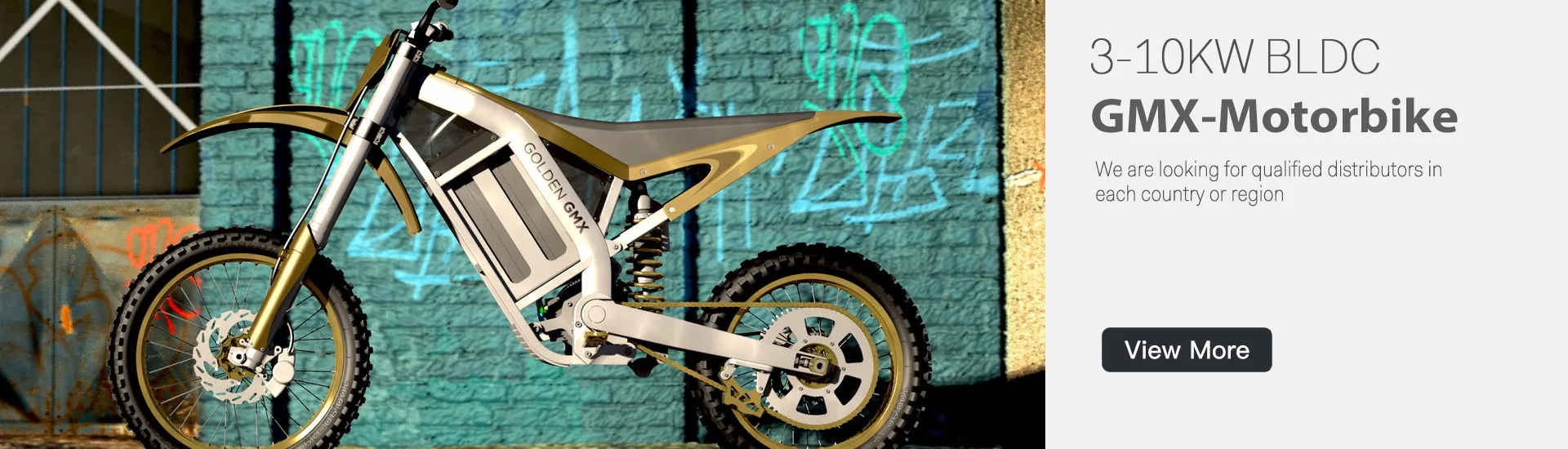 Golden Motor Technology Co., Ltd. Motor, E Wheelchair