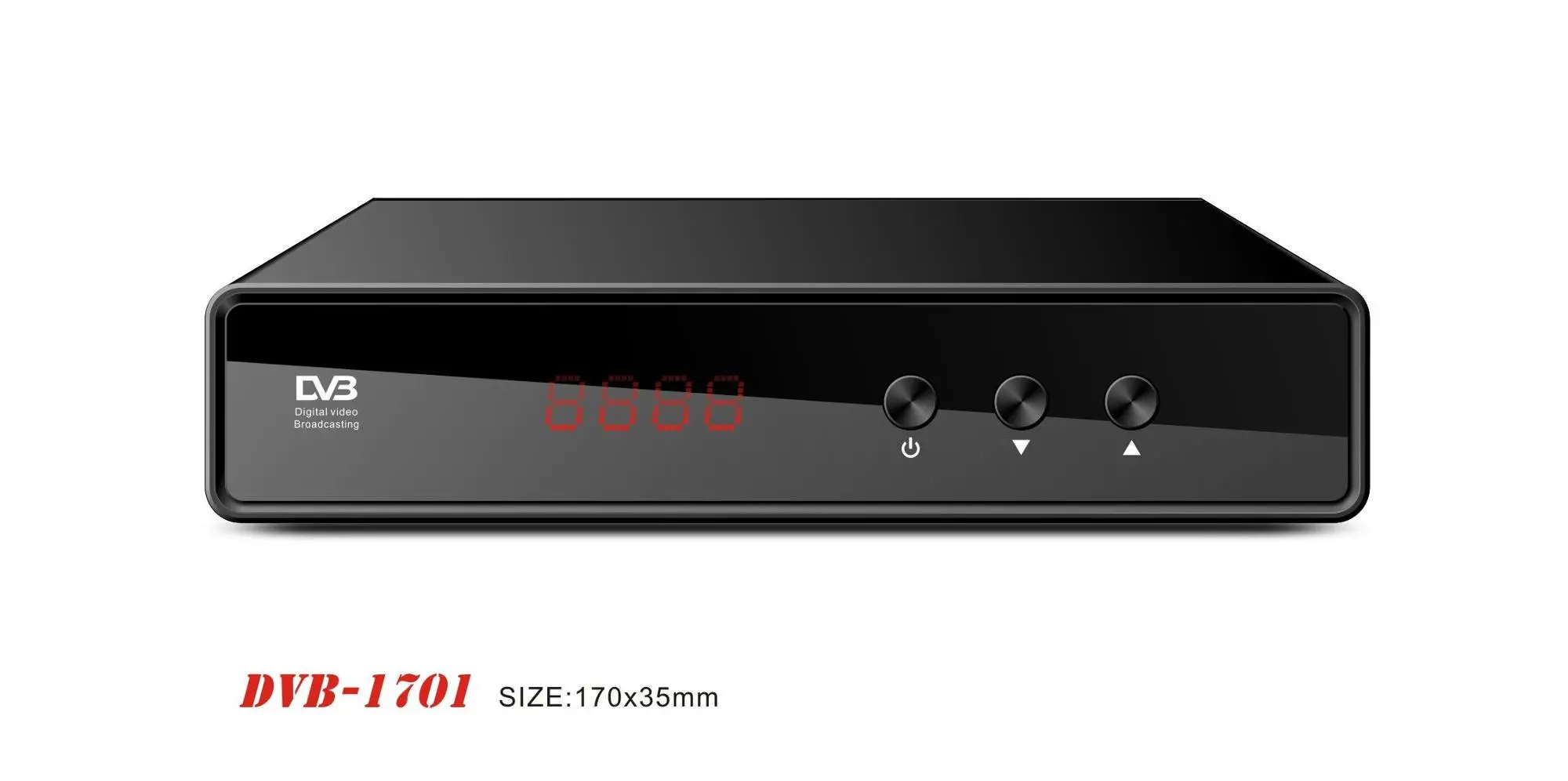 DVB (23).jpg