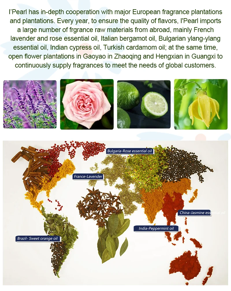 Factory Supply Wholesale Long Lasting Famous Branded High Concentrate