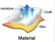 paste-pic-dp_uuid_if549