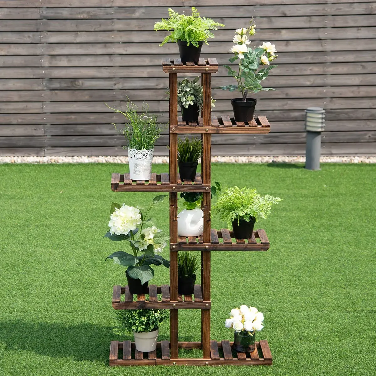 Indoor Plant on Wooden Floor photo