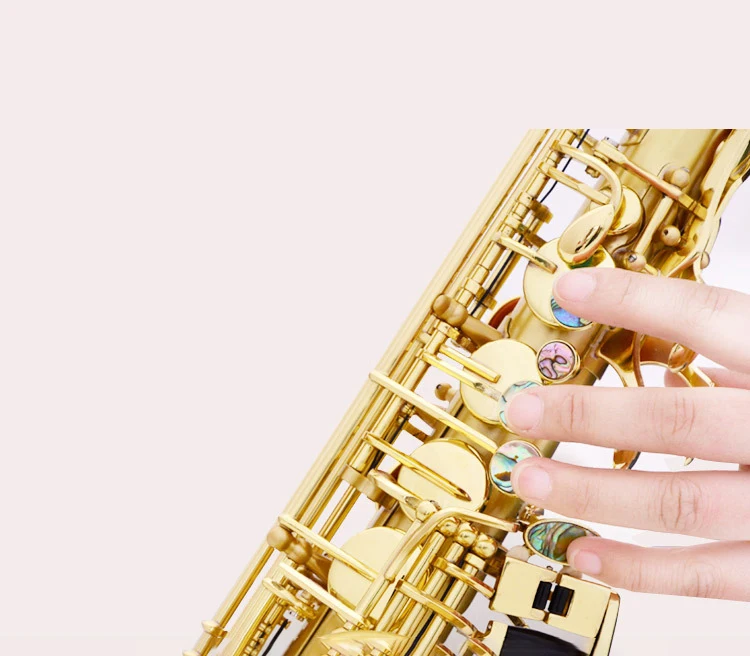Gold Lacquer Brass Alto Instrument Accessories Professional Eb  China Sax Saxophone Alto