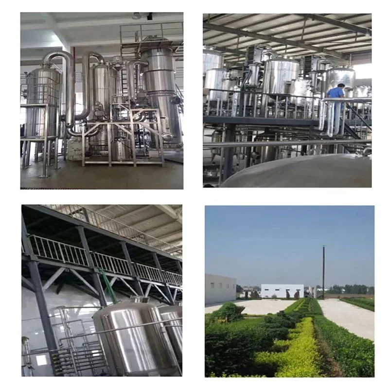 Top Quality Natural Avocado Extract Powder