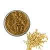 Best Price 100% Natural Avena Sativa Extract Powder