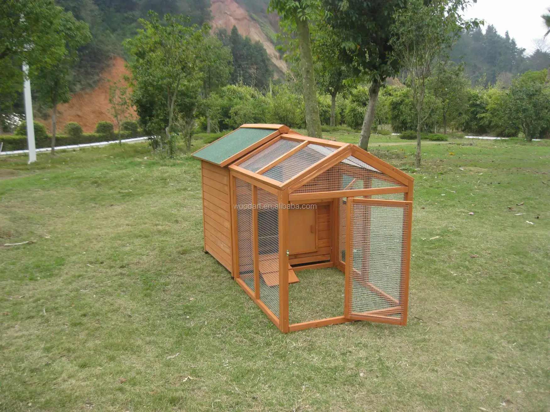 Coop Fundamentals: Essential Elements For Every Chicken Coop