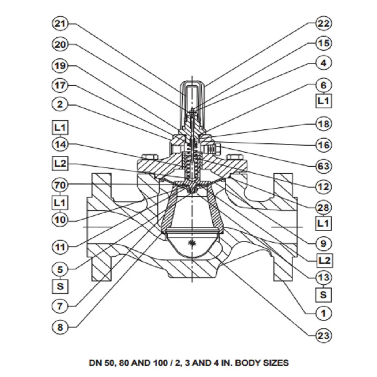  LR125  low digital Pressure Reducing Liquid Regulator  pressure reducing regulator is designed for liquid applications 