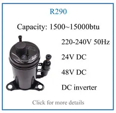 1 R290 compressor.jpg