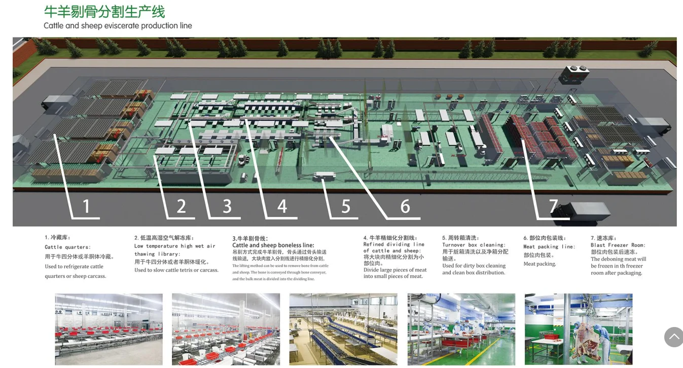 Slaughterhouse automatic cattle slaughter line equipment