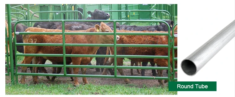 latest company news about Livestock galvanized metal used cattle yard corral fence panels 2*2.1m for horse  2