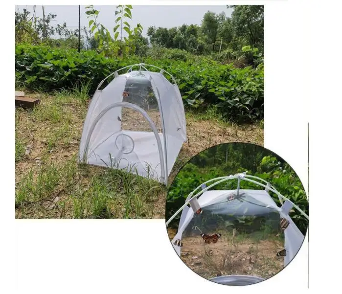 Butterfly Habitat Rearing Tents and Insect Breeding Cages