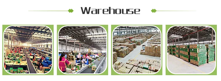 warehouse.png