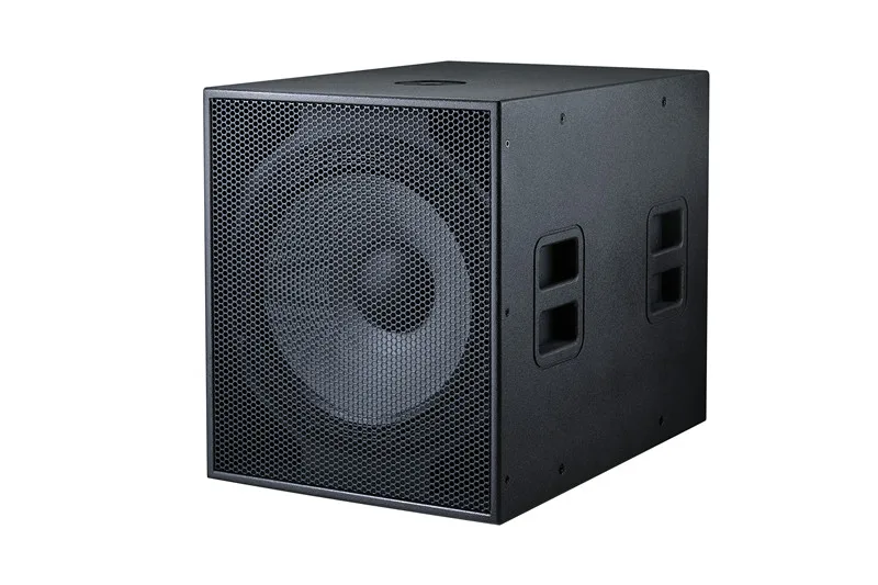 concert subwoofer