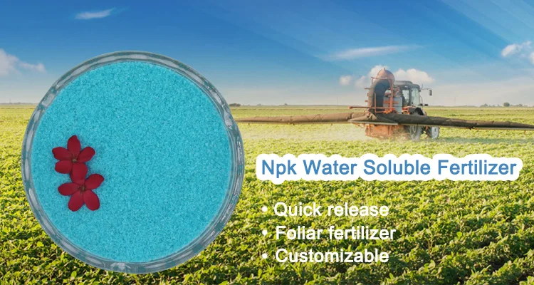 NPK fertilizer.jpg