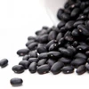 Chinese factory price good quality cheap price Black Kidney Beans / Black Bean with Yellow / Green Kernel