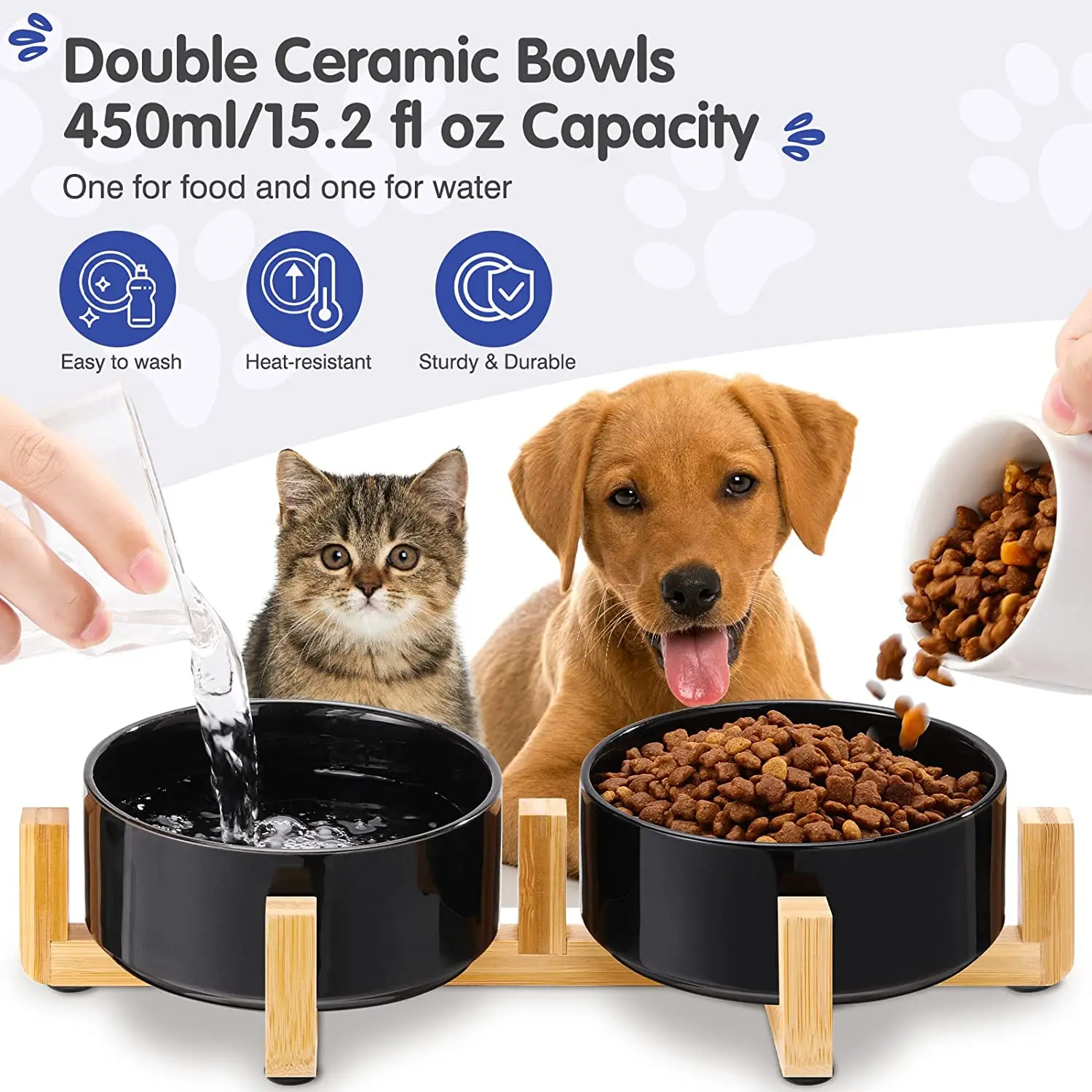 Customized Modern Style Designer Porcelain Pet Bowl Multi Color