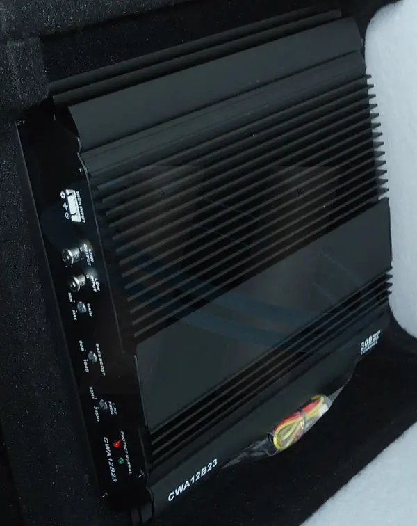 Dual 10 inch car subwoofer.JPG