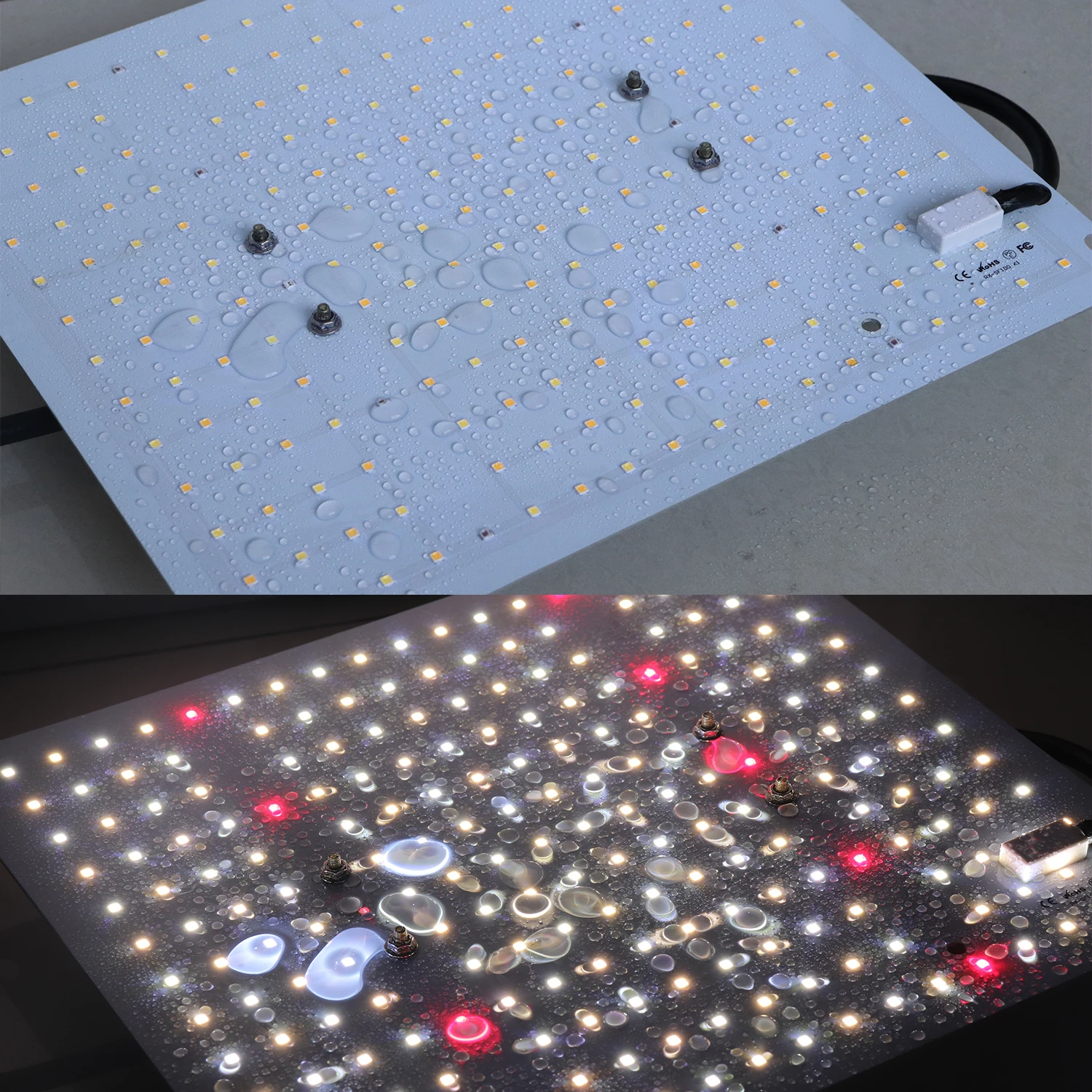 2020 Spider SF4000 SF2000 SF1000 SF6000 SF 600 4000 2000 1000 2000W 1000W Farmer Quantum Led Grow Light Kit Board For Grow Tent