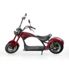 EcoRider E5-5 2000W Electric Citycoco Motorcycle for Travel for Family European School Appliance