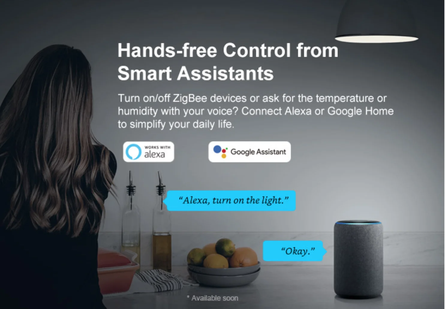 2020 Sell Well Sonoff Smart Home Zigbee Bridge Remotely Control ZigBee And Wi-Fi Devices On EWeLink APP - ANKUX.COM